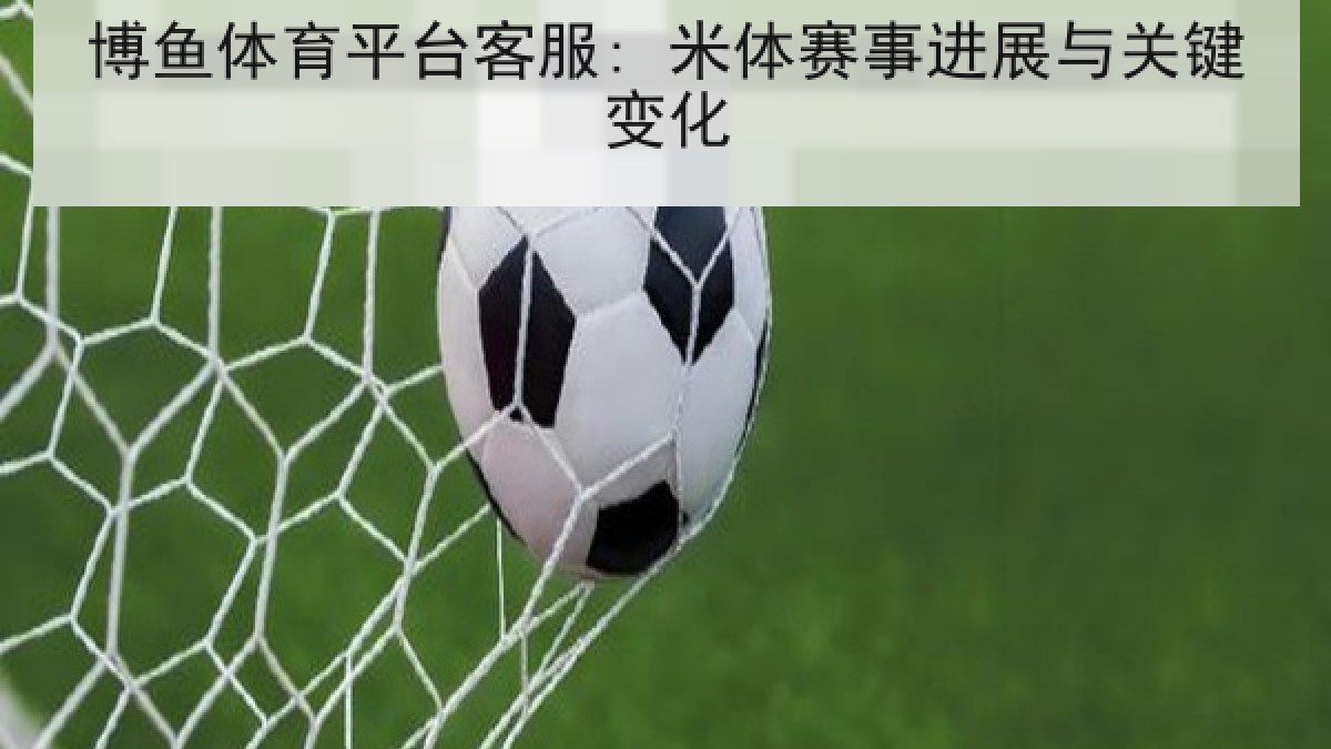 博鱼体育平台客服: 米体赛事进展与关键变化